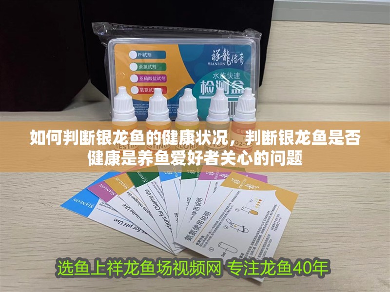 如何判斷銀龍魚的健康狀況，判斷銀龍魚是否健康是養(yǎng)魚愛好者關(guān)心的問題