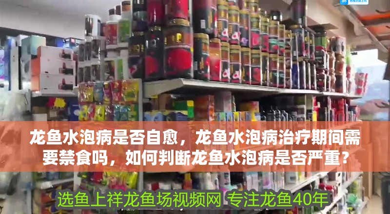 龍魚水泡病是否自愈，龍魚水泡病治療期間需要禁食嗎，如何判斷龍魚水泡病是否嚴重？