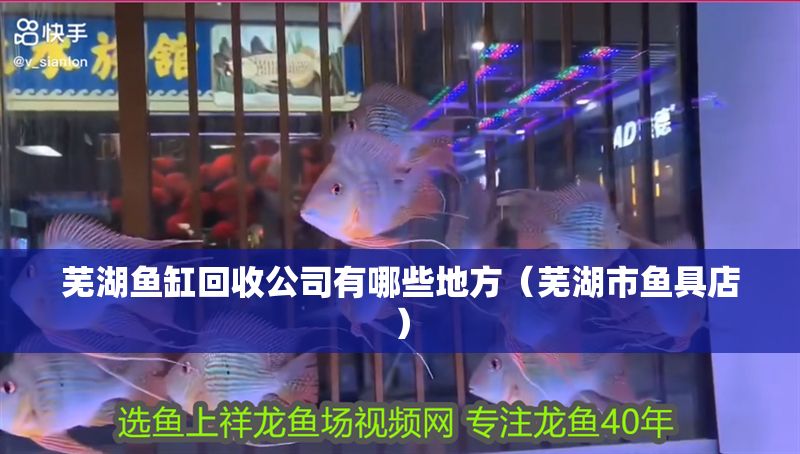 印尼虎魚蒙眼怎么辦：印尼虎魚蒙眼怎么治療