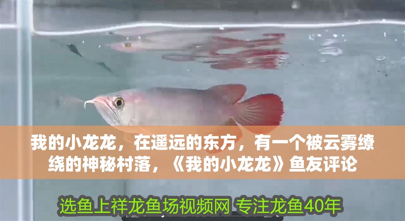我的小龍龍，在遙遠的東方，有一個被云霧繚繞的神秘村落，《我的小龍龍》魚友評論