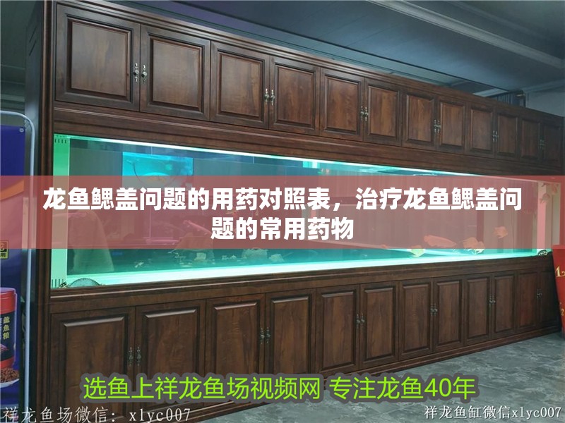 龍魚鰓蓋問題的用藥對照表，治療龍魚鰓蓋問題的常用藥物