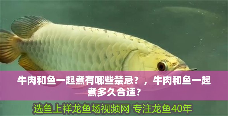 牛肉和魚一起煮有哪些禁忌？，牛肉和魚一起煮多久合適？