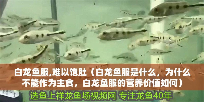 白龍魚服,難以飽肚（白龍魚服是什么，為什么不能作為主食，白龍魚服的營養價值如何） 白龍魚服,難以飽肚（白龍魚服是什么，為什么不能作為主食，白龍魚服的營養價值如何） 觀賞魚百科