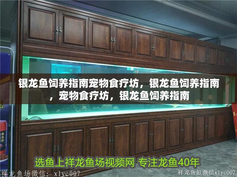 銀龍魚飼養指南寵物食療坊，銀龍魚飼養指南，寵物食療坊，銀龍魚飼養指南