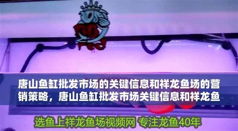 唐山魚(yú)缸批發(fā)市場(chǎng)的關(guān)鍵信息和祥龍魚(yú)場(chǎng)的營(yíng)銷策略，唐山魚(yú)缸批發(fā)市場(chǎng)關(guān)鍵信息和祥龍魚(yú)場(chǎng)的營(yíng)銷策略