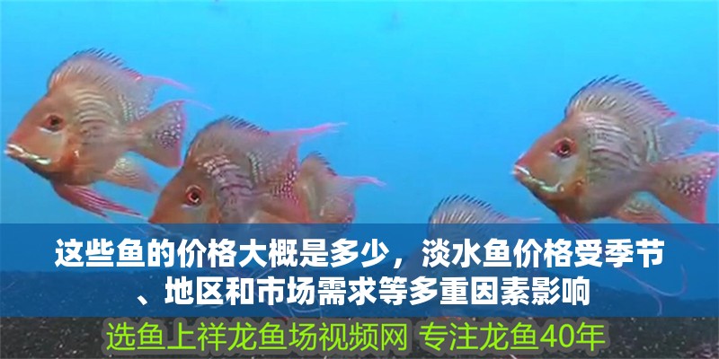 這些魚的價格大概是多少，淡水魚價格受季節(jié)、地區(qū)和市場需求等多重因素影響