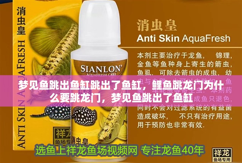夢見魚跳出魚缸跳出了魚缸，鯉魚跳龍門為什么要跳龍門，夢見魚跳出了魚缸
