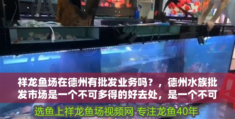 祥龍魚(yú)場(chǎng)在<strong><mark>德州</mark></strong>有批發(fā)業(yè)務(wù)嗎？，<strong><mark>德州</mark></strong>水族批發(fā)市場(chǎng)是一個(gè)不可多得的好去處，是一個(gè)不可多得的好去處