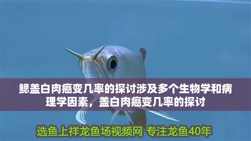 鰓蓋白肉癌變幾率的探討涉及多個(gè)生物學(xué)和病理學(xué)因素，蓋白肉癌變幾率的探討