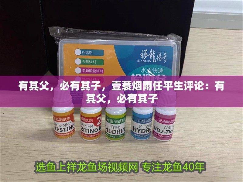 有其父，必有其子，壹蓑煙雨任平生評(píng)論：有其父，必有其子