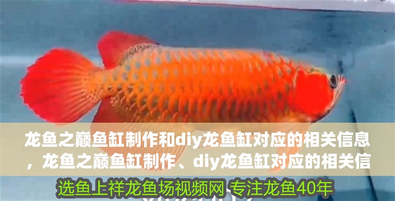 龍魚之巔魚缸制作和diy龍魚缸對應的相關信息，龍魚之巔魚缸制作、diy龍魚缸對應的相關信息