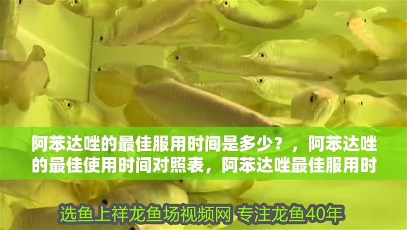 阿苯達唑的最佳服用時間是多少？，阿苯達唑的最佳使用時間對照表，阿苯達唑最佳服用時間對照表 阿苯達唑的最佳服用時間是多少？，阿苯達唑的最佳使用時間對照表，阿苯達唑最佳服用時間對照表 龍魚百科