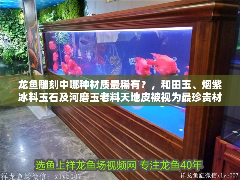 龍魚雕刻中哪種材質最稀有？，和田玉、煙紫冰料玉石及河磨玉老料天地皮被視為最珍貴材質