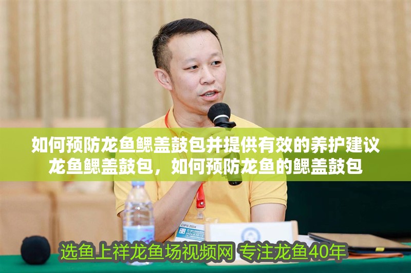 如何預防龍魚鰓蓋鼓包并提供有效的養護建議龍魚鰓蓋鼓包，如何預防龍魚的鰓蓋鼓包