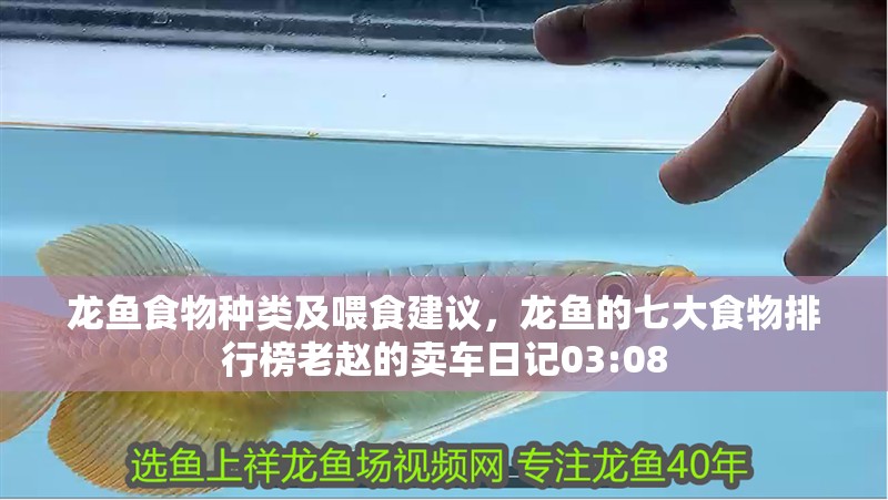 龍魚食物種類及喂食建議，龍魚的七大食物排行榜老趙的賣車日記03:08 龍魚食物種類及喂食建議，龍魚的七大食物排行榜老趙的賣車日記03:08 龍魚百科