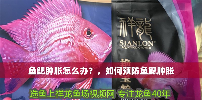 魚鰓腫脹怎么辦？，如何預防魚鰓腫脹