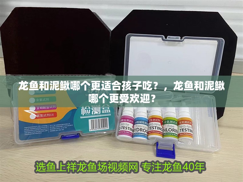 龍魚和泥鰍哪個更適合孩子吃？，龍魚和泥鰍哪個更受歡迎？