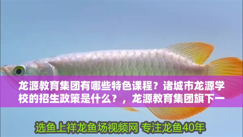 龍源教育集團有哪些特色課程？諸城市龍源學校的招生政策是什么？，龍源教育集團旗下一些知名學校：龍源國際學校