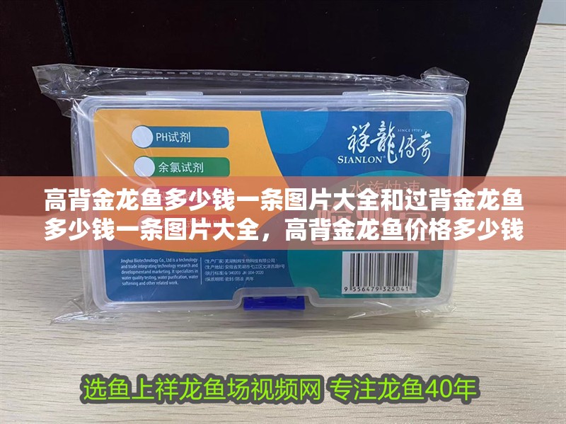 高背金龍魚(yú)多少錢一條圖片大全和過(guò)背金龍魚(yú)多少錢一條圖片大全，高背金龍魚(yú)價(jià)格多少錢一條圖片大全和過(guò)背金龍魚(yú)價(jià)格多少錢一條圖片大全