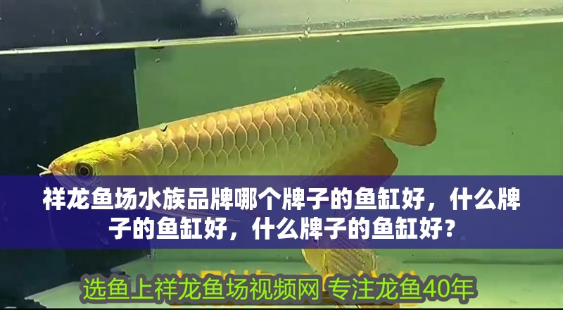 祥龍魚場水族品牌哪個牌子的魚缸好，什么牌子的魚缸好，什么牌子的魚缸好？ 祥龍魚場水族品牌哪個牌子的魚缸好，什么牌子的魚缸好，什么牌子的魚缸好？ 觀賞魚百科
