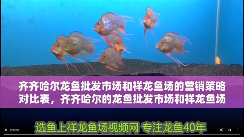 齊齊哈爾龍魚批發市場和祥龍魚場的營銷策略對比表，齊齊哈爾的龍魚批發市場和祥龍魚場的營銷 齊齊哈爾龍魚批發市場和祥龍魚場的營銷策略對比表，齊齊哈爾的龍魚批發市場和祥龍魚場的營銷 vs祥龍魚場