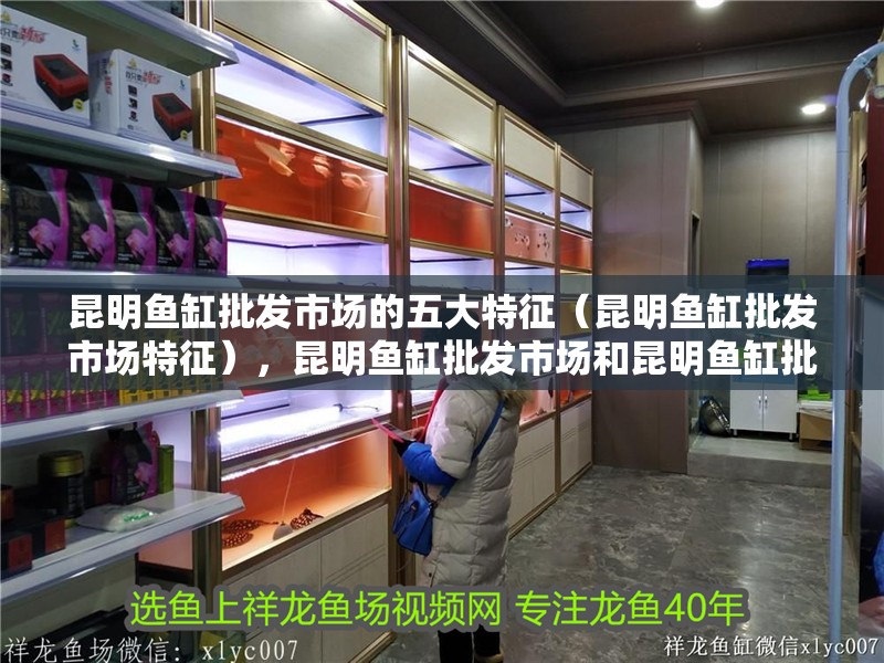 昆明魚缸批發市場的五大特征（昆明魚缸批發市場特征），昆明魚缸批發市場和昆明魚缸批發市場的五大特征