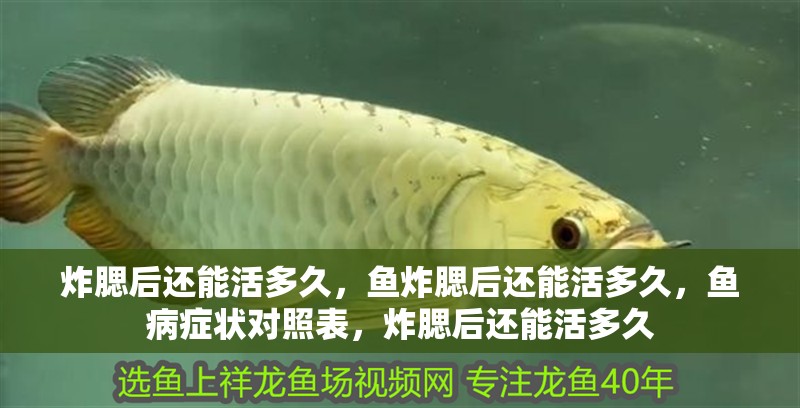 炸腮后還能活多久，魚炸腮后還能活多久，魚病癥狀對照表，炸腮后還能活多久