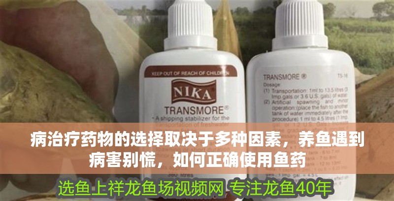 病治療藥物的選擇取決于多種因素，養魚遇到病害別慌，如何正確使用魚藥 病治療藥物的選擇取決于多種因素，養魚遇到病害別慌，如何正確使用魚藥 龍魚百科