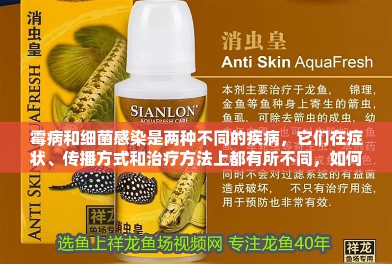 霉病和細菌感染是兩種不同的疾病，它們在癥狀、傳播方式和治療方法上都有所不同，如何區分水霉病和細菌感染？如何判斷自己是否感染水霉病？