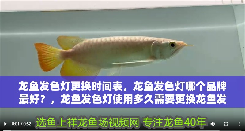 龍魚發色燈更換時間表，龍魚發色燈哪個品牌最好？，龍魚發色燈使用多久需要更換龍魚發色燈哪個品牌最好