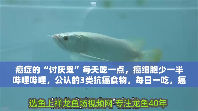 癌癥的“討厭鬼”每天吃一點，癌細胞少一半嗶哩嗶哩，公認的3類抗癌食物，每日一吃，癌癥不沾身！