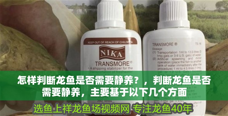 怎樣判斷龍魚是否需要靜養(yǎng)？，判斷龍魚是否需要靜養(yǎng)，主要基于以下幾個方面
