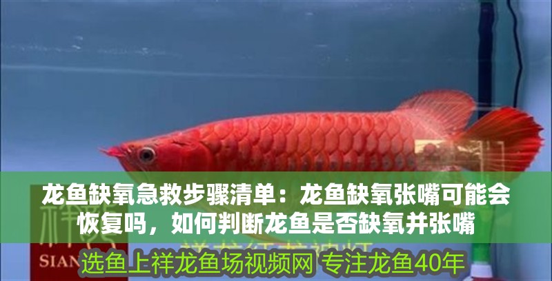 龍魚缺氧急救步驟清單：龍魚缺氧張嘴可能會恢復嗎，如何判斷龍魚是否缺氧并張嘴