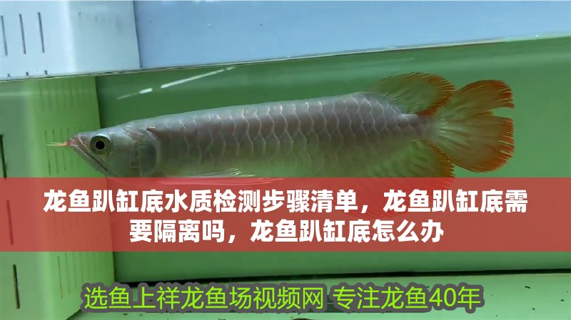 龍魚趴缸底水質檢測步驟清單，龍魚趴缸底需要隔離嗎，龍魚趴缸底怎么辦 龍魚趴缸底水質檢測步驟清單，龍魚趴缸底需要隔離嗎，龍魚趴缸底怎么辦 龍魚百科