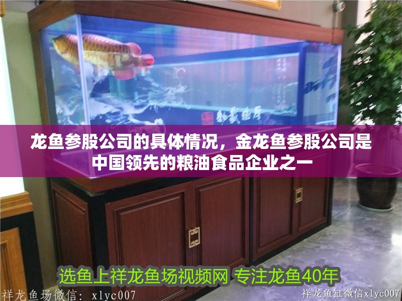 龍魚參股公司的具體情況，金龍魚參股公司是中國領先的糧油食品企業之一