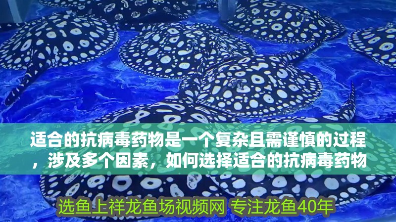 適合的抗病毒藥物是一個(gè)復(fù)雜且需謹(jǐn)慎的過程，涉及多個(gè)因素，如何選擇適合的抗病毒藥物