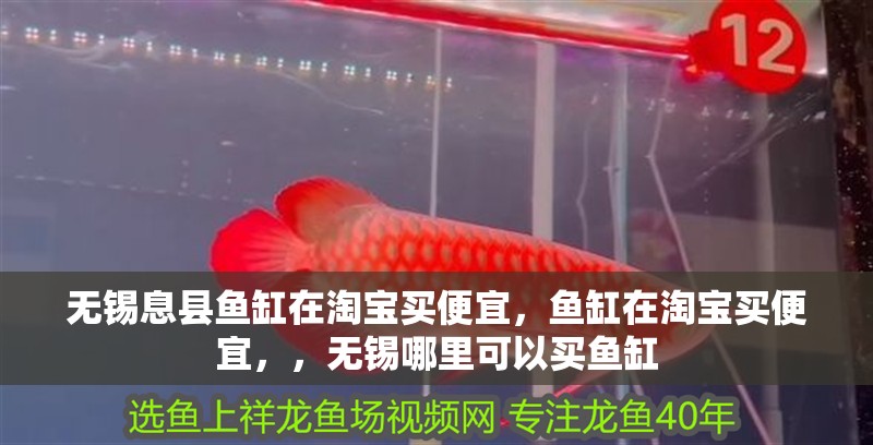 無錫息縣魚缸在淘寶買便宜，魚缸在淘寶買便宜，，無錫哪里可以買魚缸