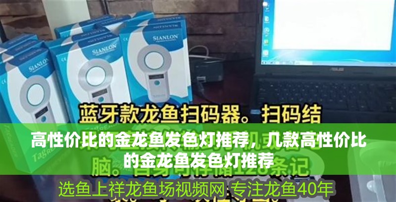 高性價比的金龍魚發色燈推薦，幾款高性價比的金龍魚發色燈推薦