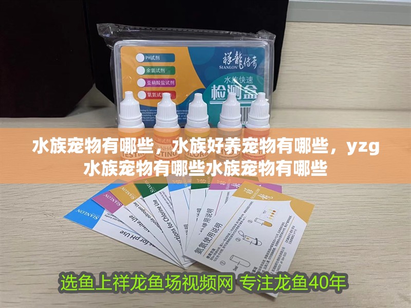 水族寵物有哪些，水族好養寵物有哪些，yzg水族寵物有哪些水族寵物有哪些 水族寵物有哪些，水族好養寵物有哪些，yzg水族寵物有哪些水族寵物有哪些 觀賞魚百科