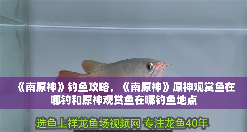 《南原神》釣魚攻略，《南原神》原神觀賞魚在哪釣和原神觀賞魚在哪釣魚地點