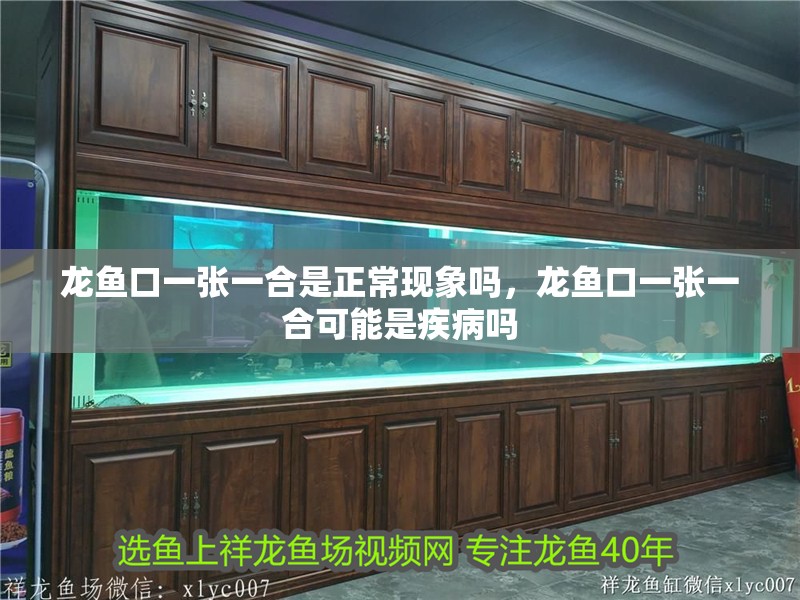龍魚口一張一合是正常現(xiàn)象嗎，龍魚口一張一合可能是疾病嗎