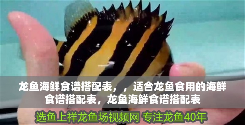 龍魚海鮮食譜搭配表，，適合龍魚食用的海鮮食譜搭配表，龍魚海鮮食譜搭配表