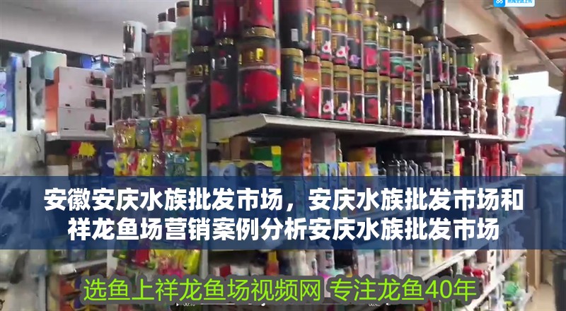 安徽安慶水族批發(fā)市場，安慶水族批發(fā)市場和祥龍魚場營銷案例分析安慶水族批發(fā)市場