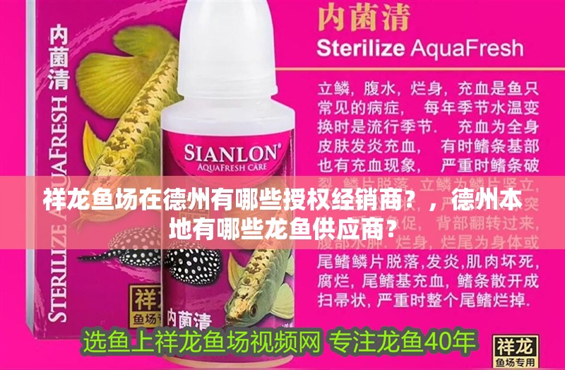 祥龍魚場在德州有哪些授權經銷商？，德州本地有哪些龍魚供應商？