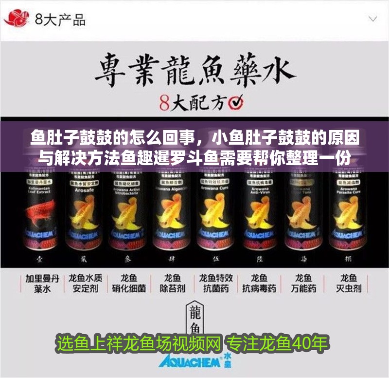 魚肚子鼓鼓的怎么回事，小魚肚子鼓鼓的原因與解決方法魚趣暹羅斗魚需要幫你整理一份