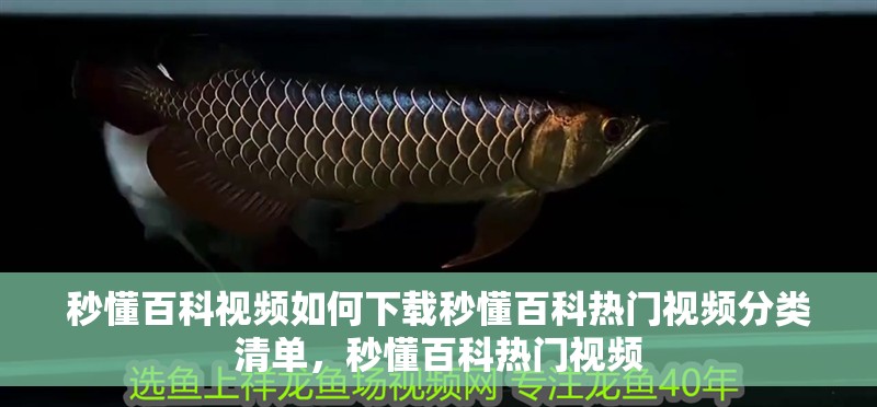 秒懂百科視頻如何下載秒懂百科熱門視頻分類清單，秒懂百科熱門視頻