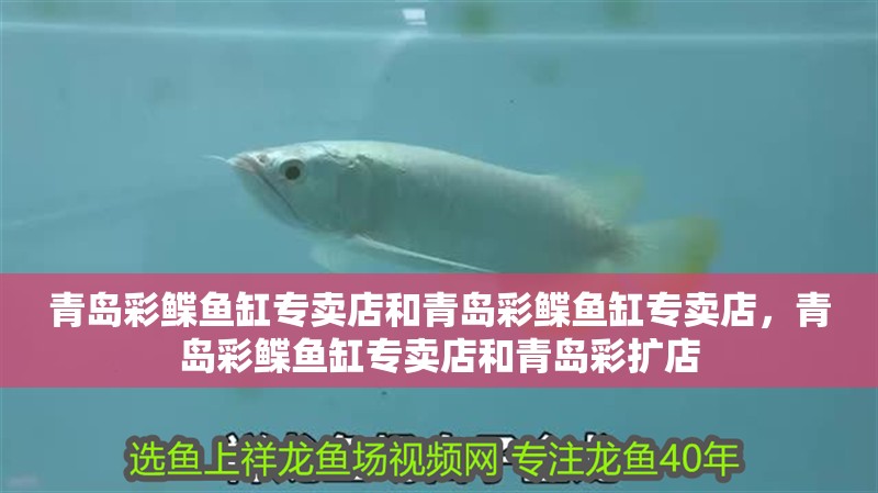 青島彩鰈魚缸專賣店和青島彩鰈魚缸專賣店，青島彩鰈魚缸專賣店和青島彩擴店