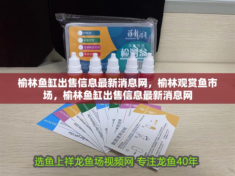 榆林魚缸出售信息最新消息網，榆林觀賞魚市場，榆林魚缸出售信息最新消息網