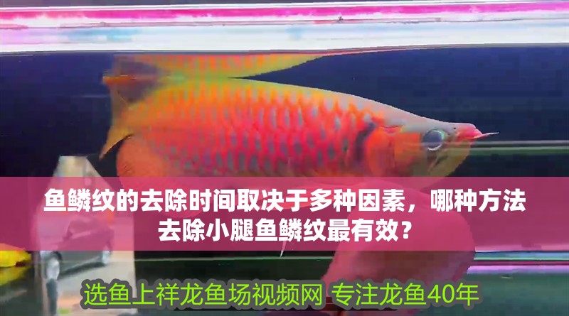魚鱗紋的去除時間取決于多種因素，哪種方法去除小腿魚鱗紋最有效？
