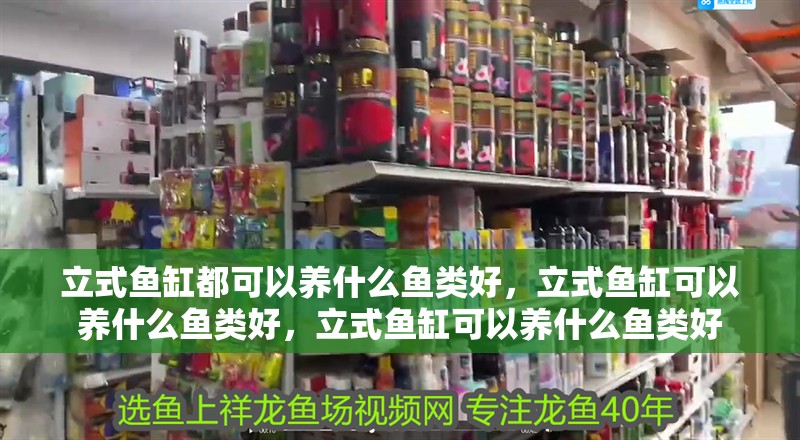 立式魚缸都可以養(yǎng)什么魚類好，立式魚缸可以養(yǎng)什么魚類好，立式魚缸可以養(yǎng)什么魚類好